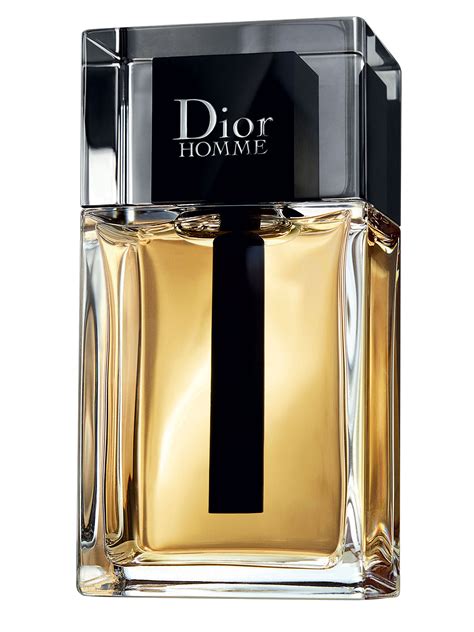 dior hommz|christian dior homme 2020.